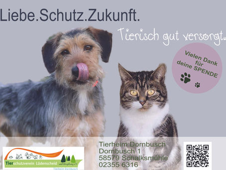 Tierisch gut versorgt