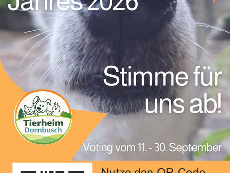 Jetzt täglich für uns abstimmen! 🐾 💚Ab 10 Uhr am Freitag 11.09.