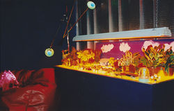 Hardcore Action Newscore Action News