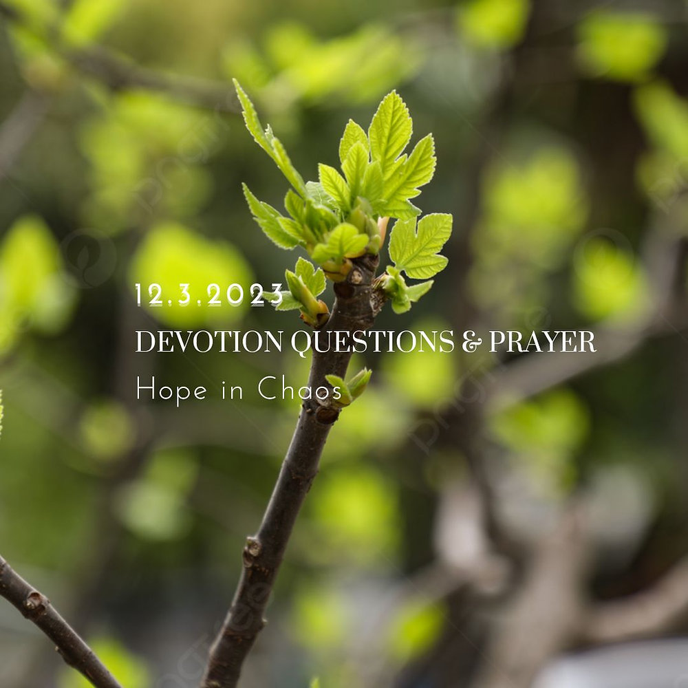 Devotion Questions & Prayer