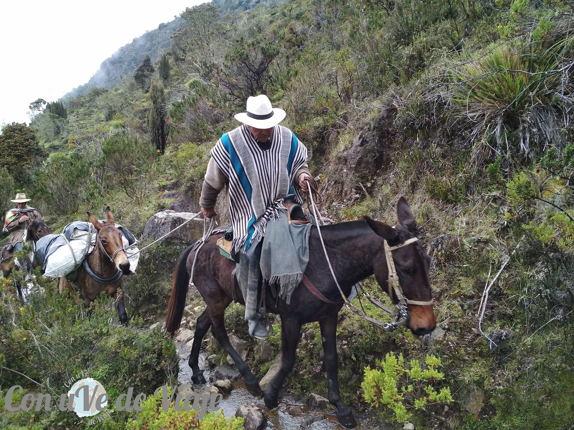 Trek en el PNN Los Nevados