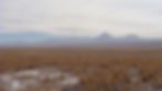 Licancabur y Jurique