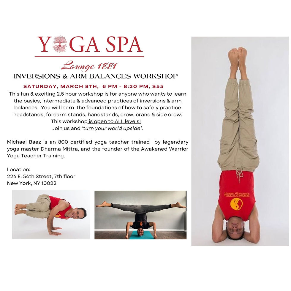 Inversions and Arm Balances Workshop