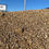 Thumbnail: Jog Path