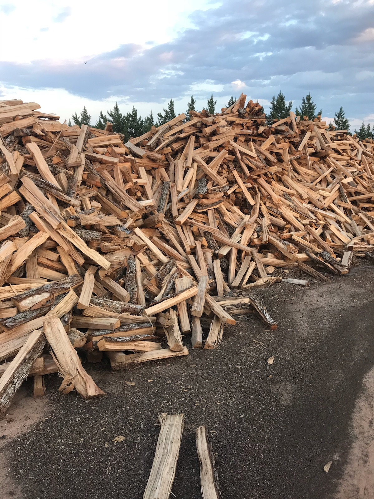 What Does Pecan Wood Look Like ubicaciondepersonas.cdmx.gob.mx