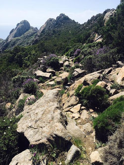 TREKKING