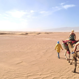 randonnée avec les dromadaires dans le sahara
