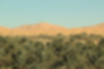 palmeraie et dunes au maroc