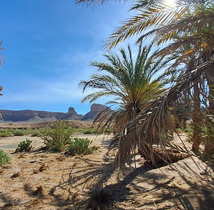 oasis Iriki National Park
