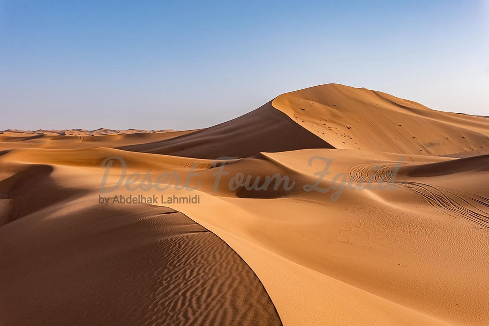 Grande dune de Chegaga à côté du bivouac