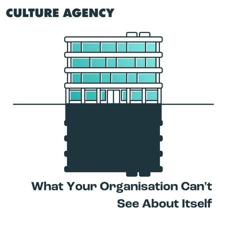 What Your Organisation Can't See About Itself