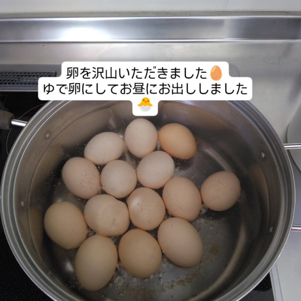 久しぶりに食べた・ひまわりの植え替え・上手くできました(*^^)vの写真(島根県大田市)