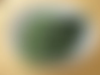 端午の節句の行事をしました!!