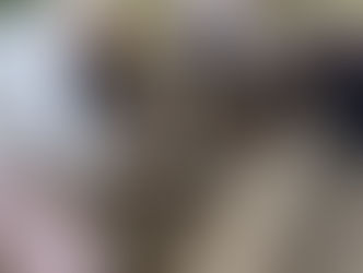 お楽しみは、まだまだ続きますけね