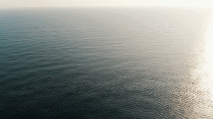 Image-b21f2589-8af3-4dc0-9a99-760d55a1d95c.gif