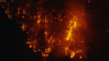 Image-9b8ef0a4-a3ba-4942-a36c-15baf8fd9c62.gif
