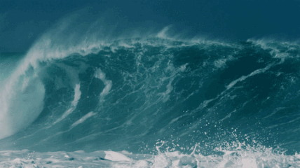 Image-4911899a-f471-4175-9c8a-fd9852e685be.gif