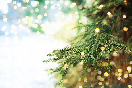 Closeup of Christmas-tree background.jpg