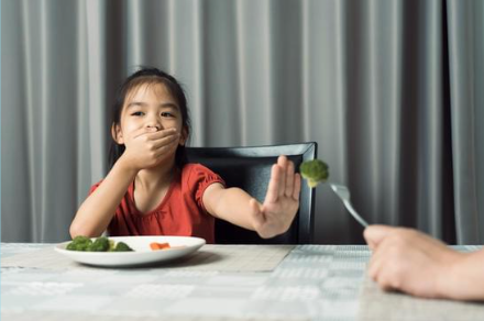 feeding workshop image.png