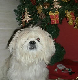 Conca de Souza Vargas