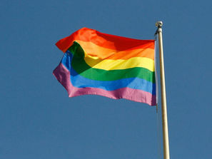 Parlamento de Portugal prohíbe izar banderas LGTBI en edificios públicos