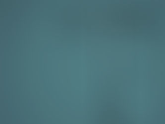 Países Bajos y Bélgica registran récords históricos de eutanasias