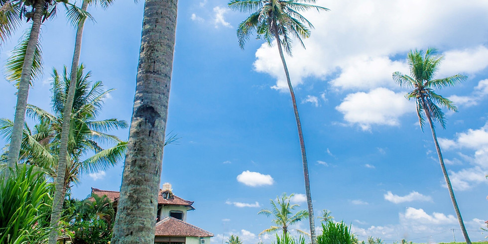 8 days Yoga Retreat (3)