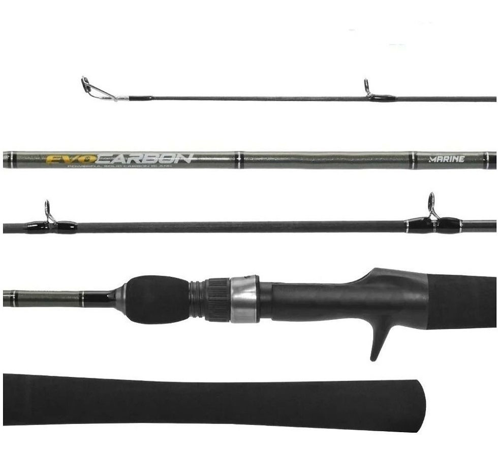 Vara P/ Carretilha Evocarbon 1,68m 15-30L Inteira EVC-C561MH