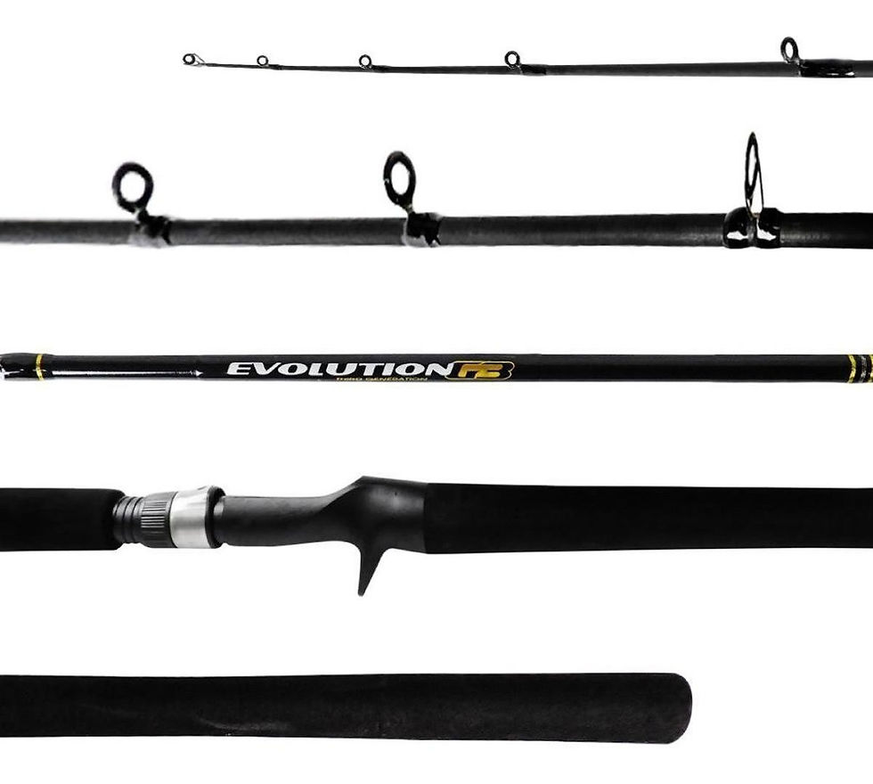 Vara Carretilha Ms Evolution G3 1 Parte EVG-C 391M 8-17Lbs