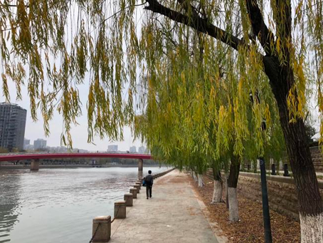 秦淮落叶