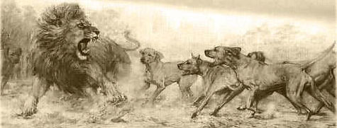 rrandlion.jpg