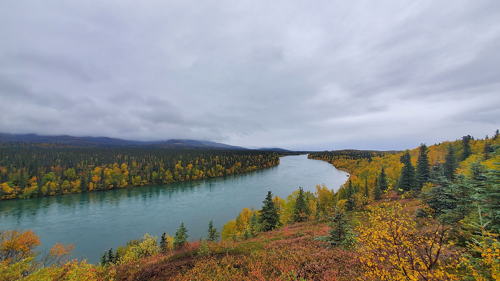 Fall Colors on the River