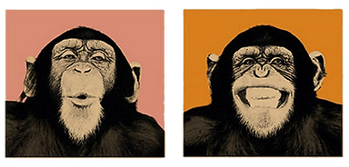 Monkey Pop Art 2