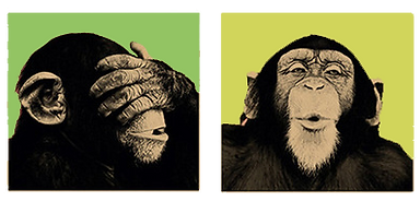 Monkey Pop Art 5