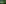 Herb Plants