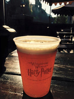 1456595_10103260577633320_6964916178018546956_n