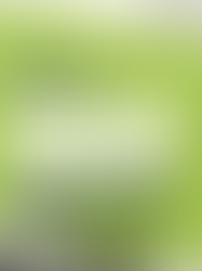 Year 8 Parents' Evenings