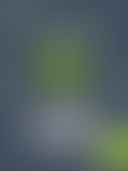 Ski Trip 2026 - Day Five