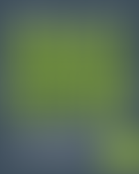 Year 9 Exams Information Evening