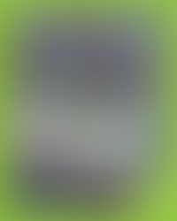 Steve Willis Apprenticeships