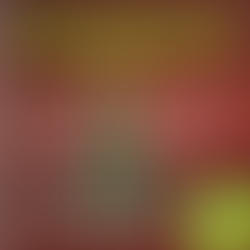 2024 Design a Christmas Card Competition