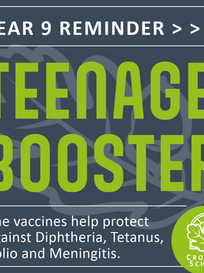 Year 9 Teenage Booster