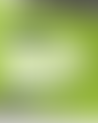 Year 10 Meet the Tutor and Information Evening