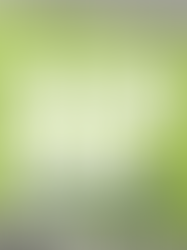 Paris Trip Information Evening