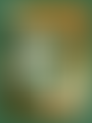 End of Autumn Term Letter