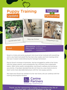 Canine Partners update