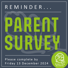 Parent Survey - December 2024