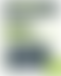 KS4 R.I.C opening times