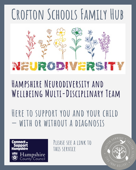 Hampshire Neurodiversity and Wellbeing Multi-Disciplinary Team