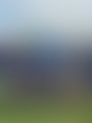 Senior Girls' Football Cup Success